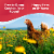 Happy Egg Co.® Free Range Large Brown Eggs Perspective: left