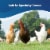 Happy Egg Co.® Free Range Heritage Large Blue & Brown Eggs Perspective: left