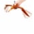 Mattel Jurassic World Sound Strike™ Pteranodon Action Figure Perspective: left