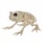 Holiday Home Skeleton Frog Decoration Perspective: left