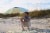SDS for HD Designs Outdoors Beach Umbrella - Beach Ball Perspective: left