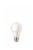 Everyday Living 60-Watt (10.5-Watt) A19 Light Bulb Daylight - 10 Pack Perspective: left