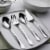 Ginger Salad Fork Perspective: left