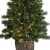 Holiday Home 4' Burlington Spruce Lit Potted Porch Tree Christmas Decor Perspective: left