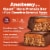 Quest Crispy Chocolate Caramel Pecan Flavor Protein Bar Perspective: left