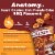 Quest Original Style BBQ Protein Chips Perspective: left