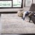 Martha Stewart Cosmopolitan Accent Rug - Cream/Light Gray Perspective: left