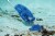 Water Tech Pool Blaster Max CG Handheld Battery Cleaner Swimming Pool/Spa Vacuum Perspective: left