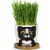 Window Garden Large Oreo Cat Planter for Indoor Plants & Flowers Perspective: left