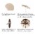 Glitzhome Aluminium Self Tilt Market Patio Umbrella - Beige Perspective: left