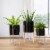 Glitzhome Modern Glossy Metal Plant Stands - Black/Gold Perspective: left