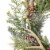 Glitzhome Flocked Pinecone & Antler Wreath with Warm White LED Lights Perspective: left