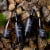 The Icon Rock Signature Sauvignon Blanc New Zealand White Wine Perspective: left