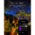 Twinkly Festoon App-Controlled Smart LED Bulb Light String 20 Multicolor RGB Perspective: left