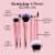 MCoBeauty Everyday Essentials Makeup Brush Set for Liquid Cream or Powder Formulas Perspective: left