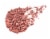 Nude by Nature Cashmere Pressed Blush 02 - Pink Lilly Perspective: left