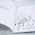 Tails of Spirit Cats, A Heartwarming Book for Anyone Who Has Lost Their Furry Friend Perspective: left