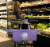 Lotus Sustainables Lotus Trolley Bag - Original Colors Perspective: left