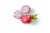 White Dragon Fruit Perspective: right