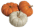 Mini Pumpkins (Up to 1 lb) Perspective: right