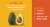 Fresh Avocados Medium Avocado Perspective: right