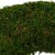 Northlight 13.7 Reindeer Moss Artificial Floral Spring Wreath - Unlit Perspective: right