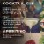 Martini & Rossi Extra Dry Italy Vermouth Perspective: right