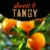 Private Selection® Fresh Minneola Tangelos Oranges Bag Perspective: right