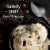 Private Selection® Chocolate Chip Cookie Dough Ice Cream Pint Perspective: right