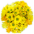 Bloom Haus Sunshine On My Mind Fresh Cut Flower Bouquet Perspective: right