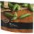 Private Selection Frozen Sugar Snap Peas Perspective: right