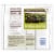 Kroger® Traditional Favorites Frozen Cauliflower Perspective: right
