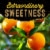 Private Selection® Fresh Navel Oranges Heirloom Bag Perspective: right