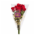 Bloom Haus Roses - Assorted Perspective: right
