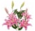 Bloom Haus Oriental Lily Bunch Perspective: right