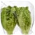Private Selection™ Little Gem Crisp & Buttery Lettuce Hearts Perspective: right