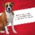 ALPO® T-Bonz® Porterhouse Flavor Dog Treats Perspective: right