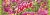 Mountain Dew® Major Melon Soda Cans Perspective: right