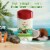 Old Spice Men's Fiji with Palm Tree Antiperspirant & Deodorant Perspective: right