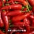 Heinz 57 Hot Chili Infused Honey Perspective: right