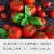 Classico Organic Tomato & Basil Spaghetti Pasta Sauce with No Sugar Added Perspective: right
