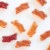 Annie's Organic Bunny Fruit Snacks Gluten Free Variety Pack Perspective: right