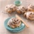 Annie's Organic Cinnamon Rolls Perspective: right