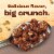 General Mills Cheerios Oat Crunch Chocolate Large Size Cereal Perspective: right