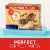 Fiber One Chewy Bars Oats & Chocolate Fiber Snacks Mega Pack Perspective: right
