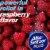 Alka-Seltzer Plus® Cough & Sore Throat Raspberry Flavored Fizzy Chews Perspective: right