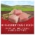 Purina ONE® SmartBlend® Chicken & Rice Formula Natural Dry Adult Dog Food Perspective: right