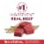 Purina ONE Small Bites Adult Dry Dog Food Beef & Rice Perspective: right