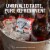 Budweiser American Lager Beer Perspective: right