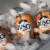 Busch Light Peach American Lager Beer Perspective: right